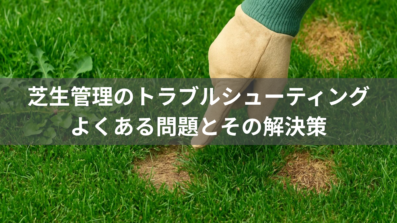 芝生管理のトラブルシューティング：よくある問題とその解決策